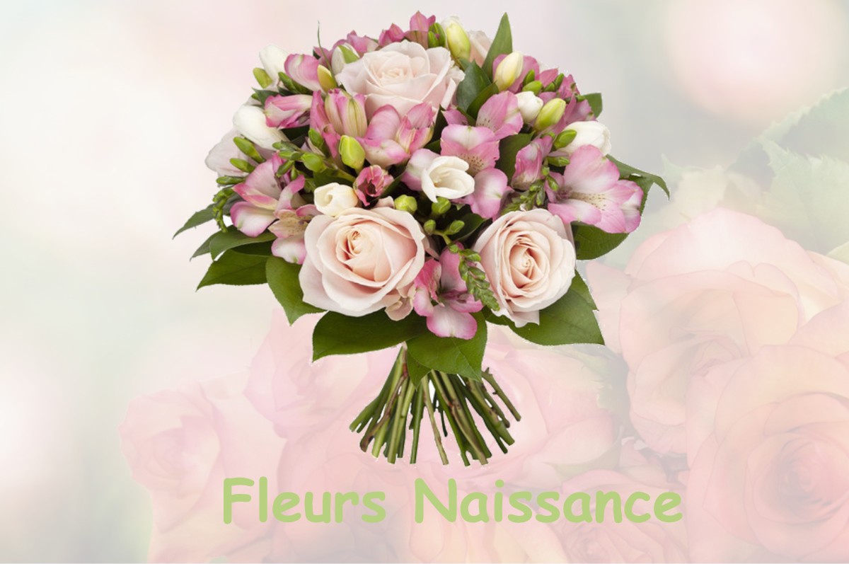 fleurs naissance LANDES-LE-GAULOIS