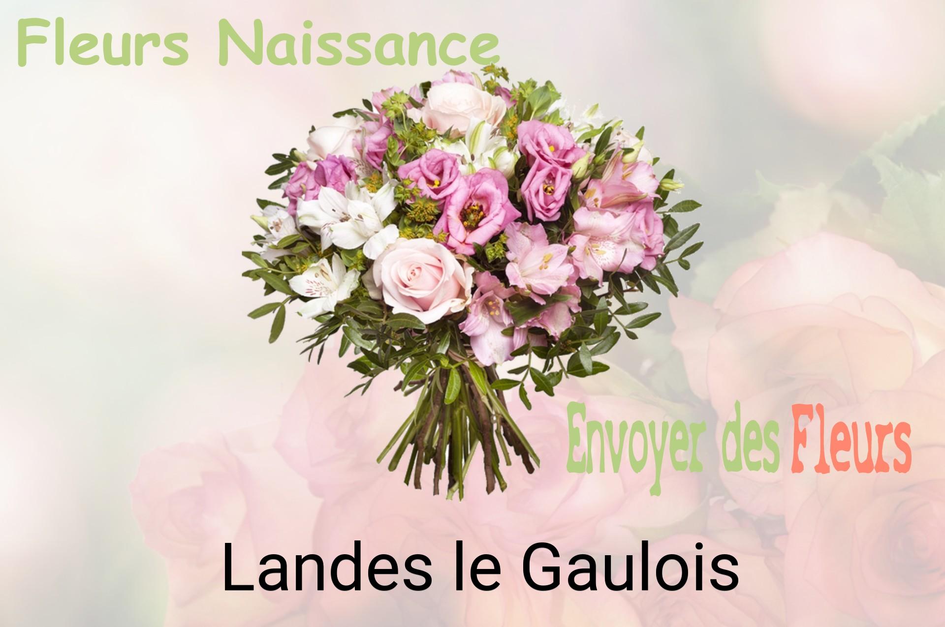 Bouquet de fleurs de naissance livré à Landes-le-Gaulois